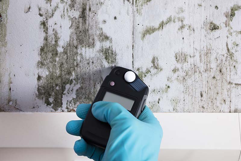 The hand of one of our home inspectors using a moisture meter to test mold on a wall